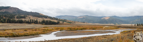 Lamar Valley