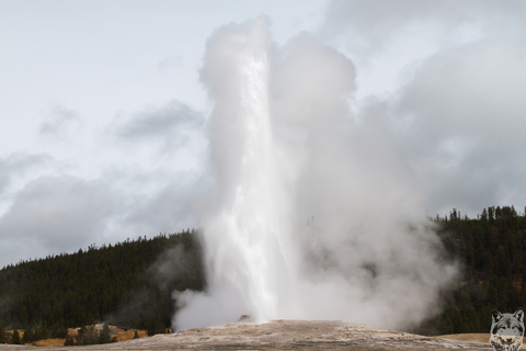 Old Faithful