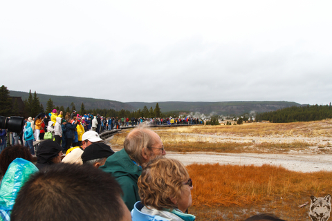 Old Faithful Crowd 1