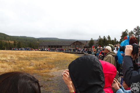 Old Faithful Crowd 2