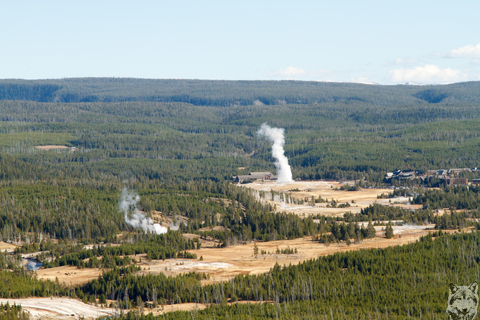 Old Faithful from Biscuit Basin Overlook