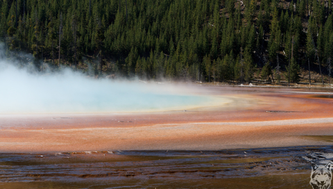 Grand Prismatic Spring