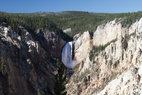 Lower Yellowstone Falls