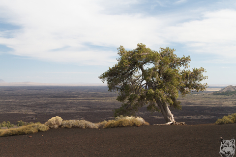 Atop Inferno Cone