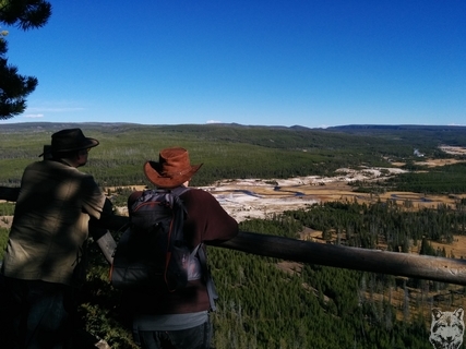 Viewing down on Upper Geyser Basin